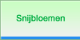 Snijbloemen
